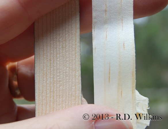 comparison of power planer cut (left) with a hand plane shaving (right)